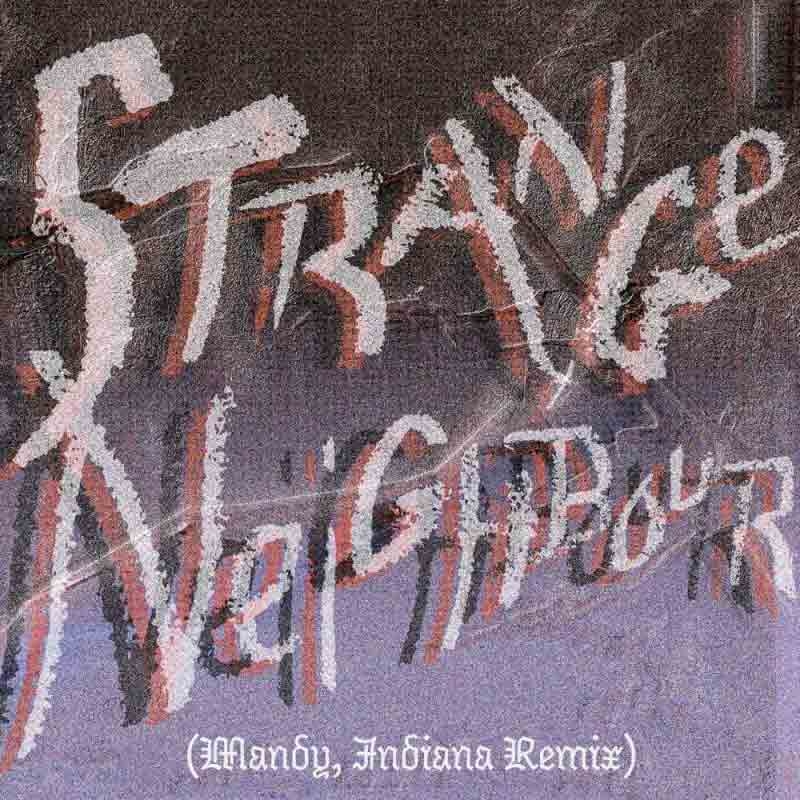 Strange Neighbour (Mandy Indiana Remix) Release Artwork